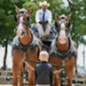 Meet your Posher, Sydney